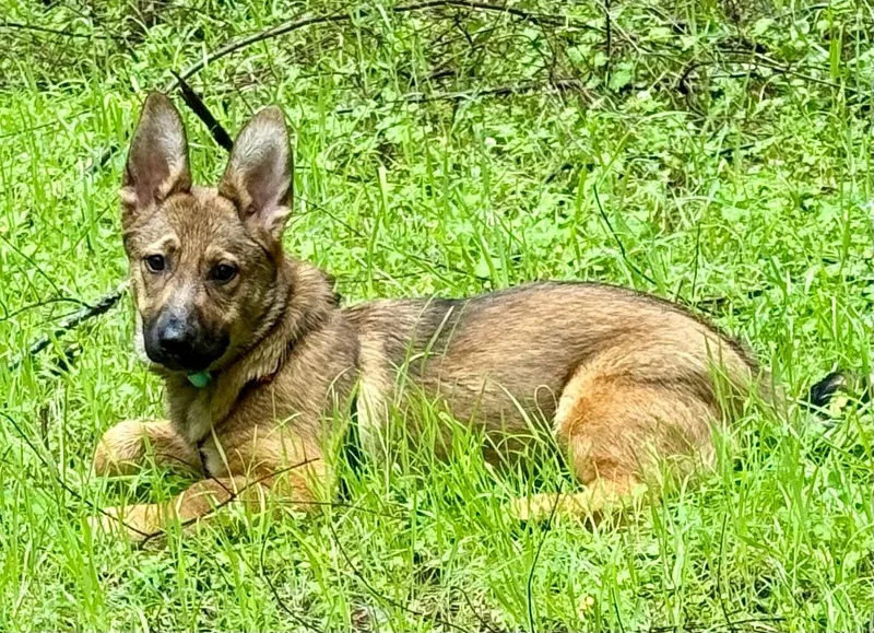 Marleymarie thumbnail 3