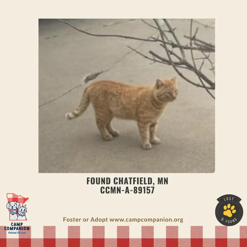Found Chatfield Mn