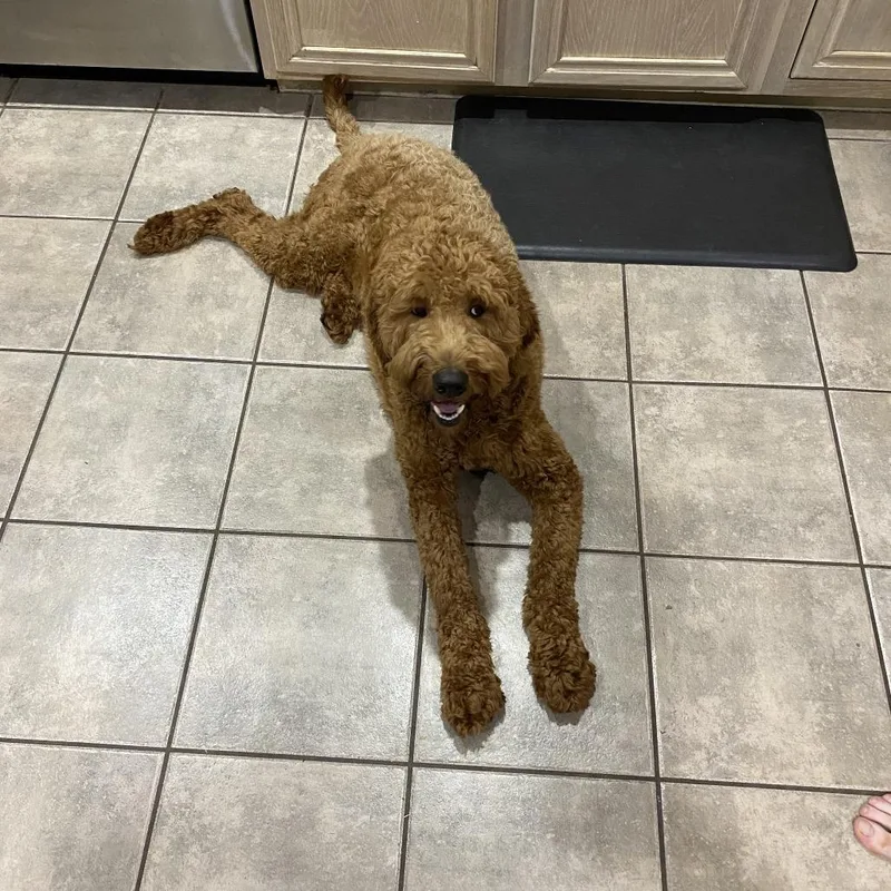 Oakley