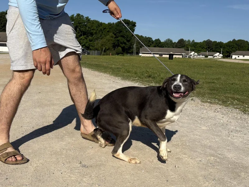 Buster Dixon thumbnail 2