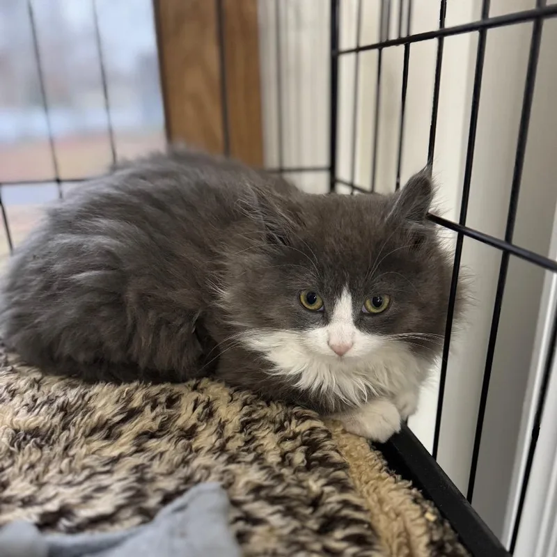 Frobozz Of Zork thumbnail 2