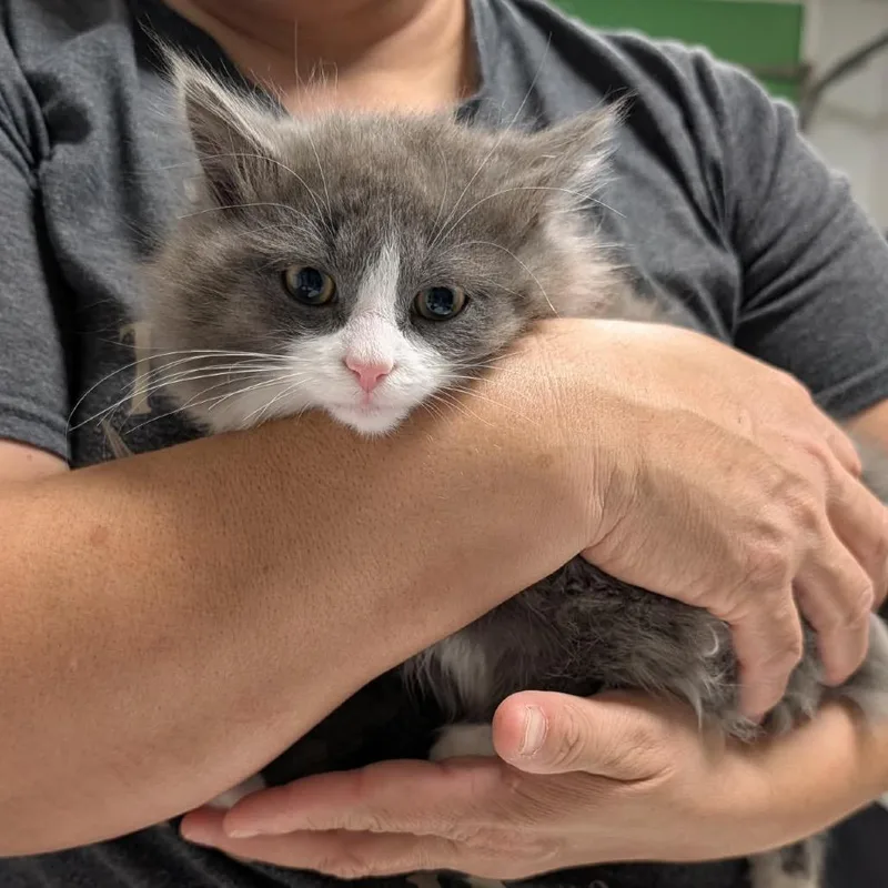 Frobozz Of Zork thumbnail 4