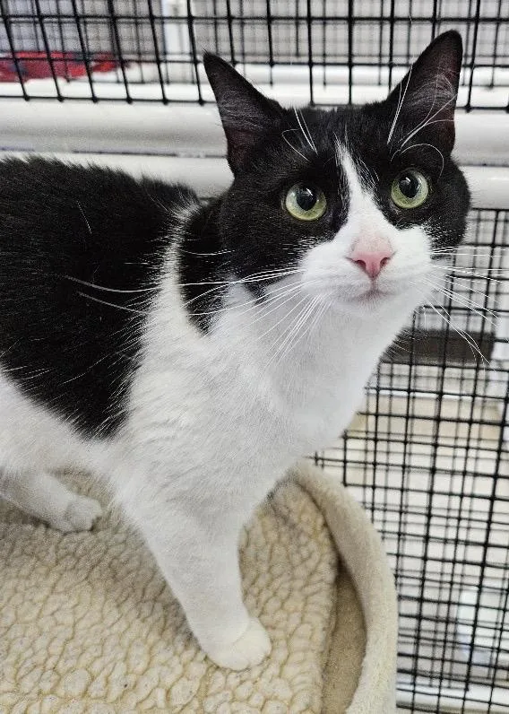 Penelope + Piper thumbnail 2