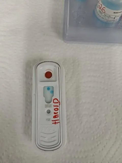 Harold thumbnail 2