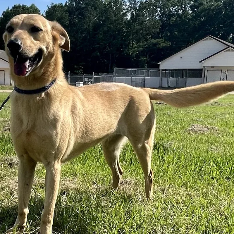 Precious thumbnail 3