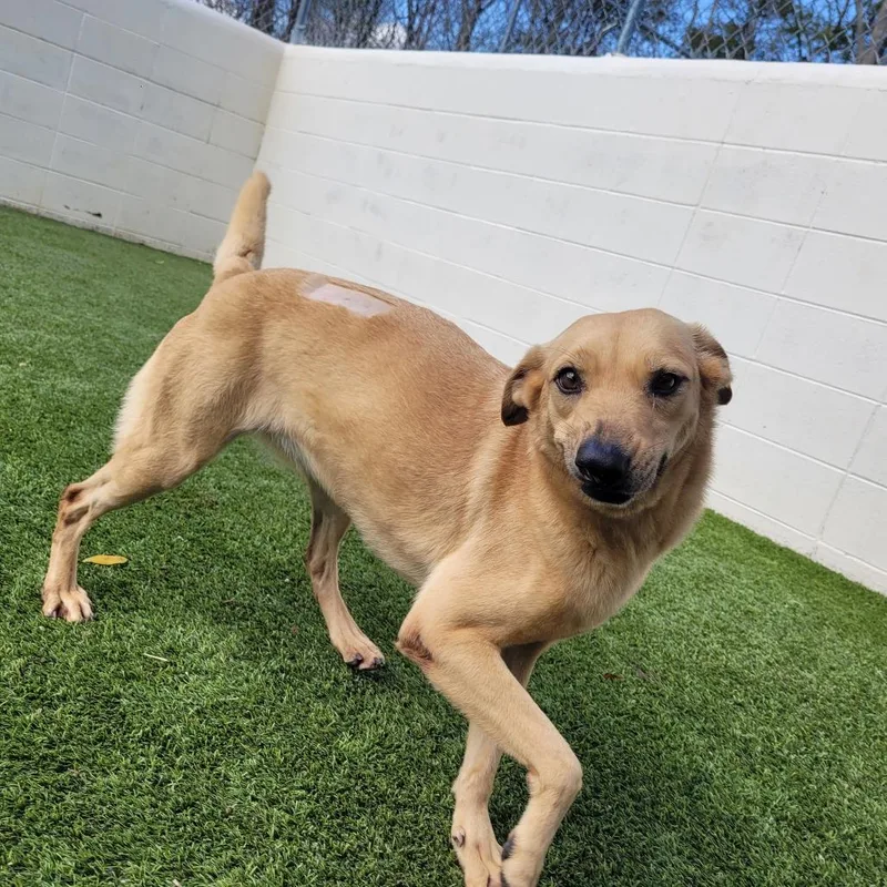 Precious thumbnail 4