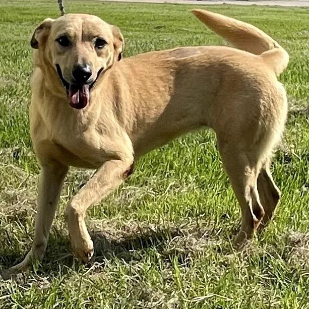 Precious thumbnail 5