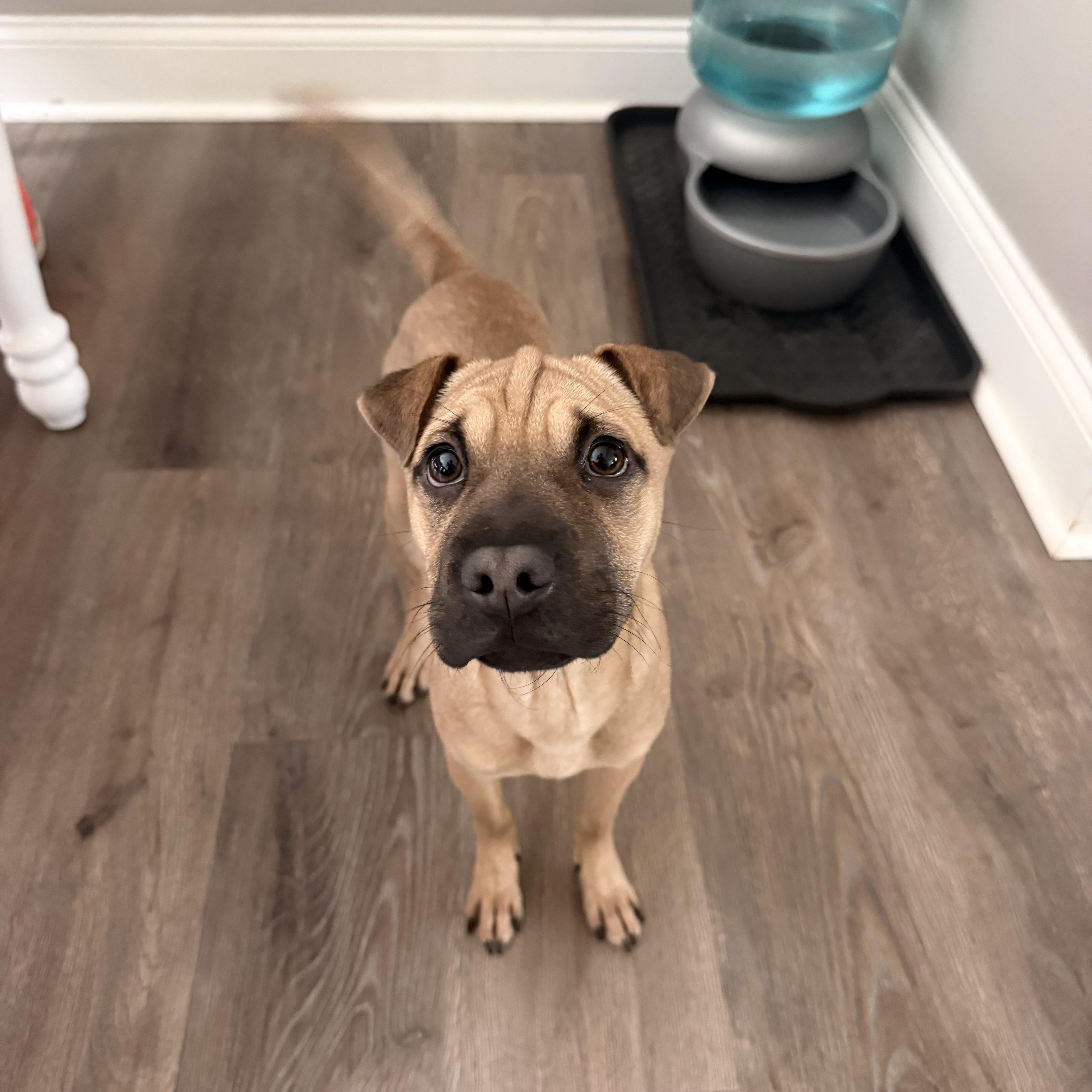 Marnie thumbnail 2