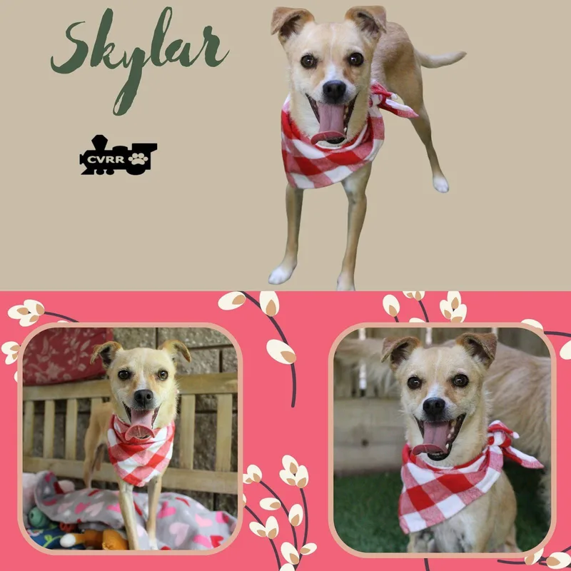 Skylar
