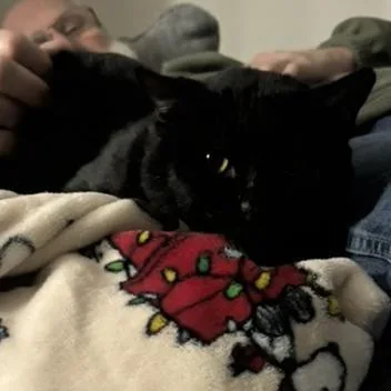 Oscar thumbnail 5