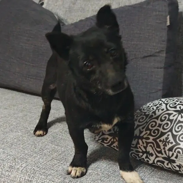 Ms. Itsy Zippy thumbnail 4