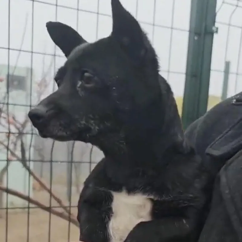 Ms. Itsy Zippy thumbnail 5