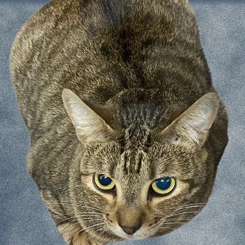 Little Bit thumbnail 2