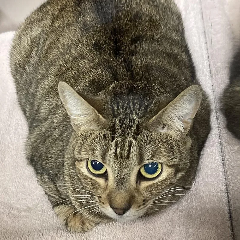 Little Bit thumbnail 3