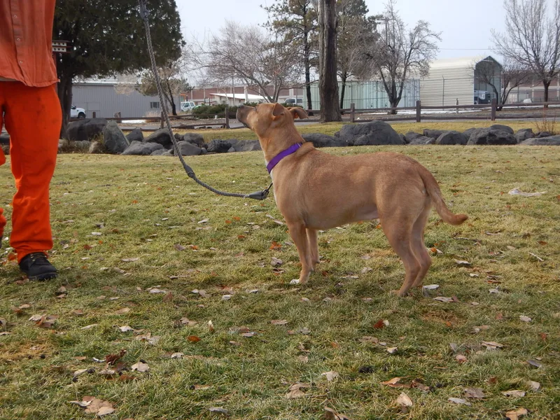 Cassie thumbnail 5