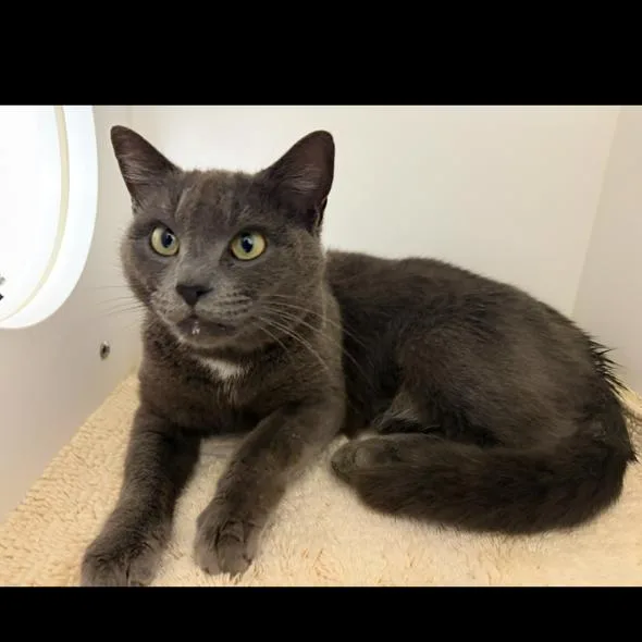 Rosalina thumbnail 2