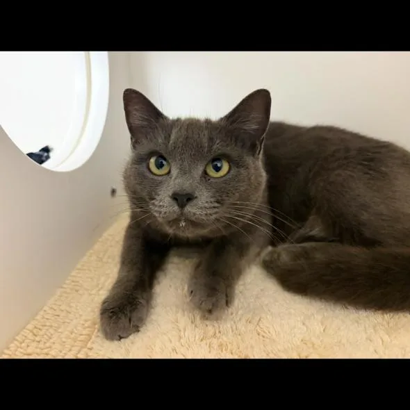 Rosalina thumbnail 3