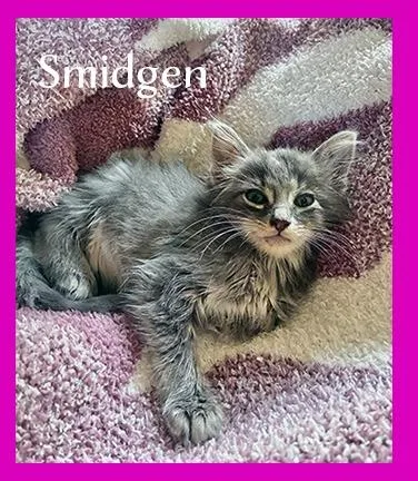 Smidgen