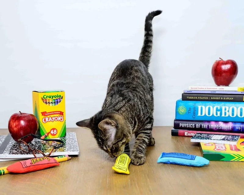 Misty Lee thumbnail 5