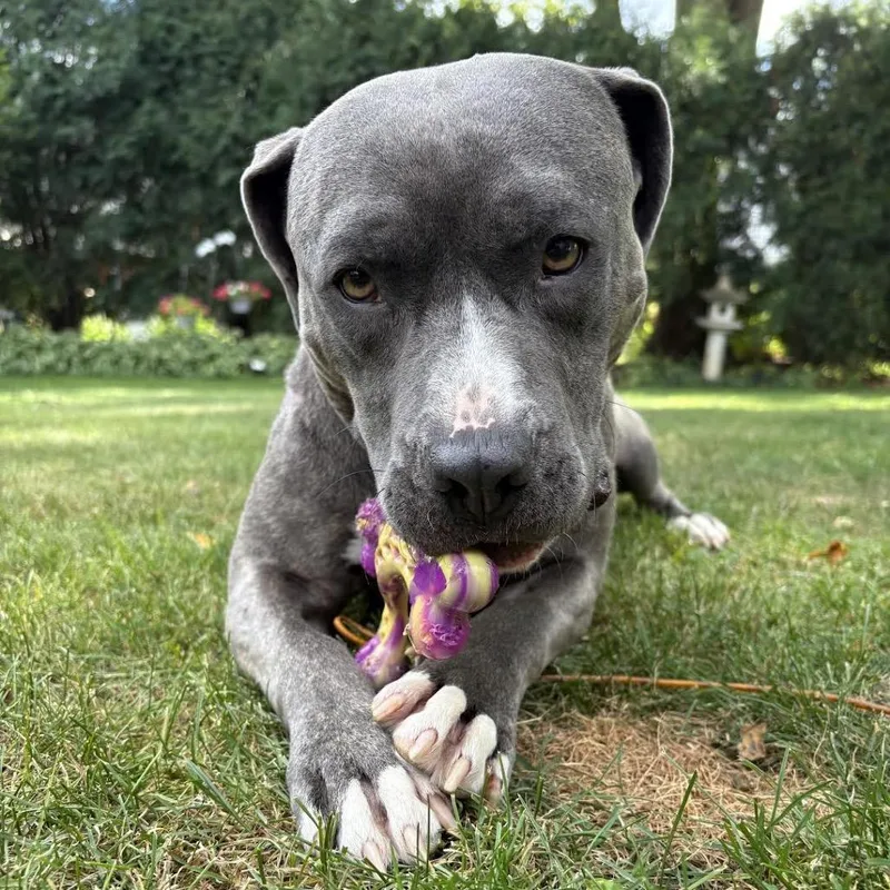 Terrance thumbnail 3