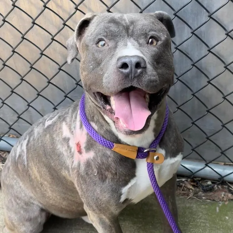 Terrance thumbnail 4