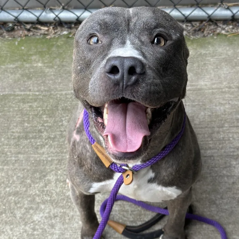 Terrance thumbnail 5