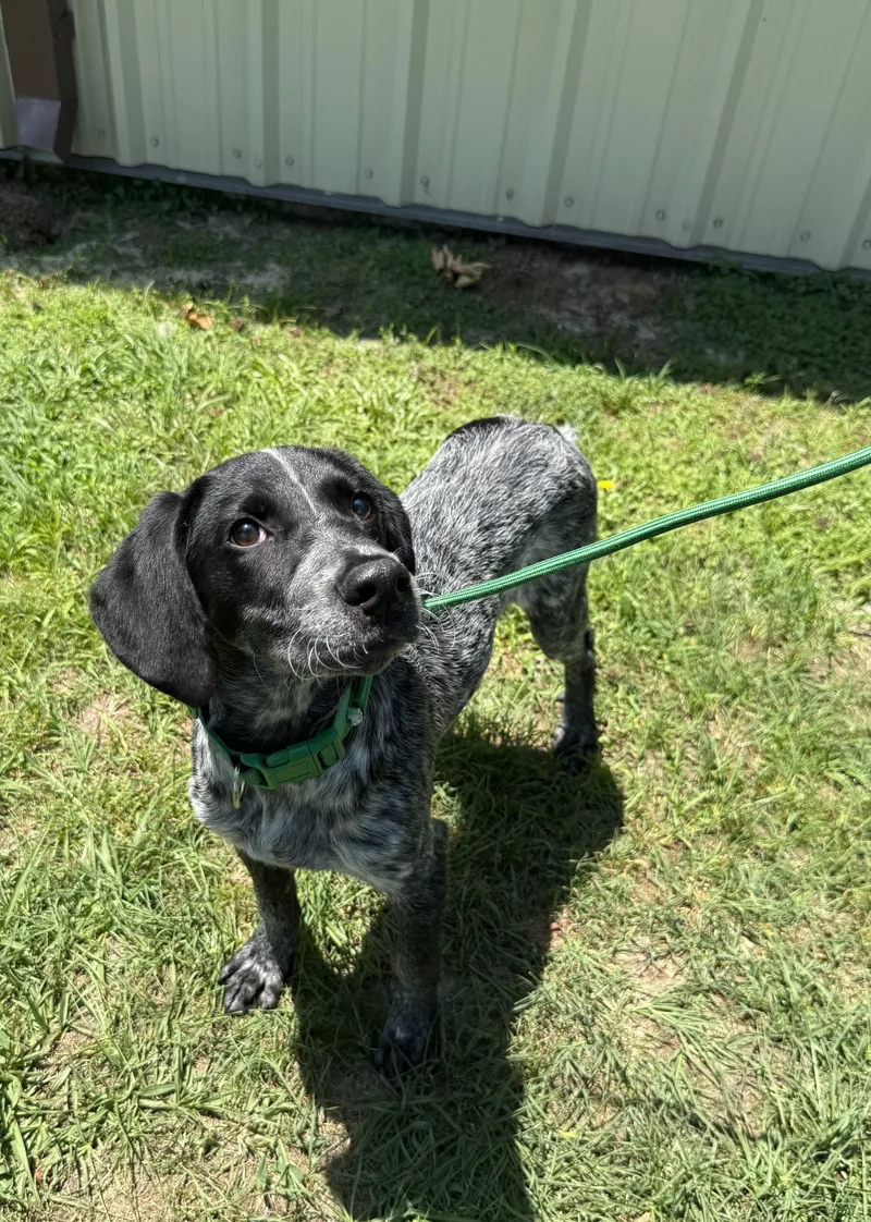 Dewey Best Boy Needs thumbnail 2