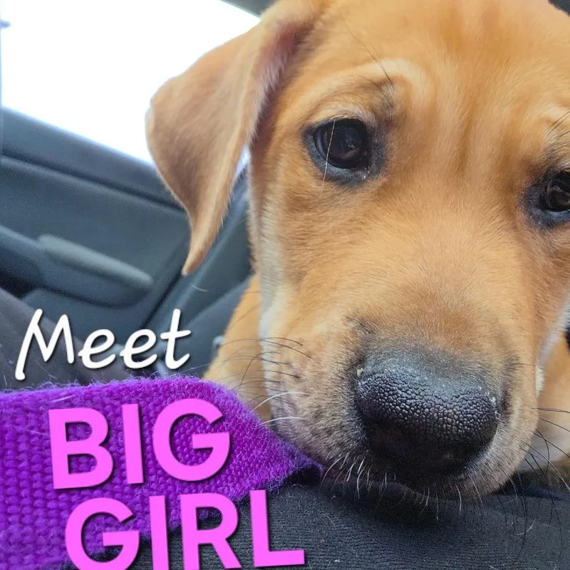 Big Girl thumbnail 5