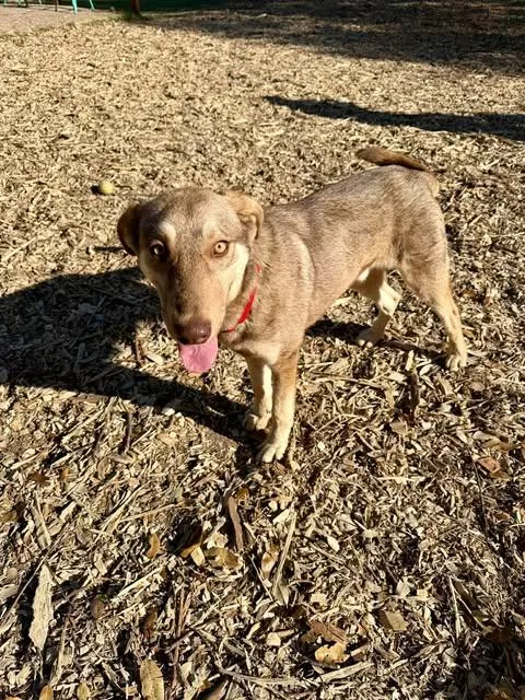 Crockett thumbnail 2