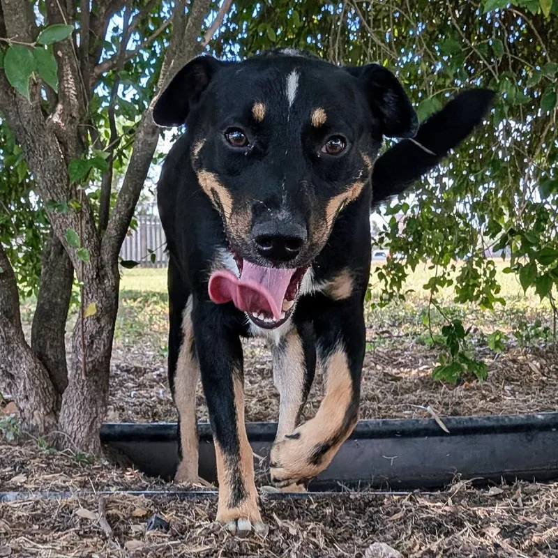 Fleetwood thumbnail 3