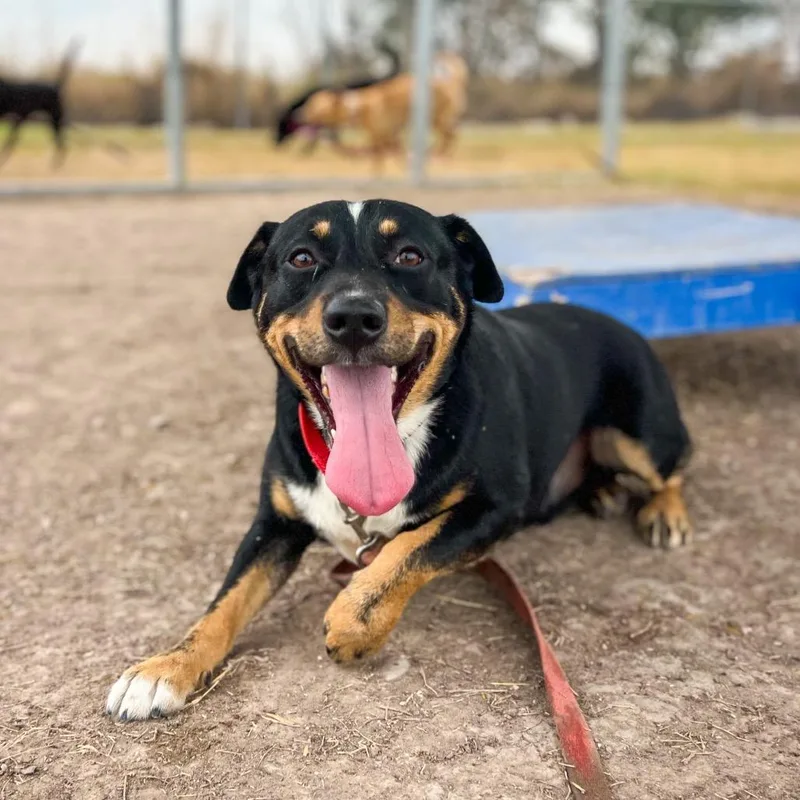 Fleetwood thumbnail 4