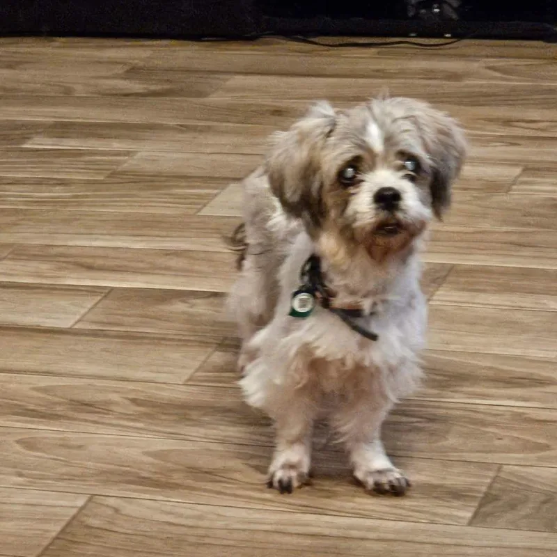 Rosie Cherry thumbnail 2