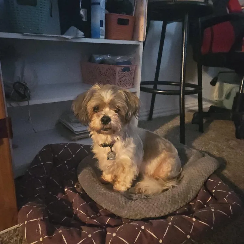 Rosie Cherry thumbnail 4