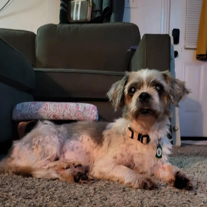 Rosie Cherry thumbnail 5