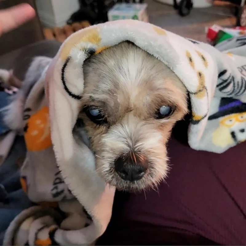 Rosie Cherry thumbnail 6