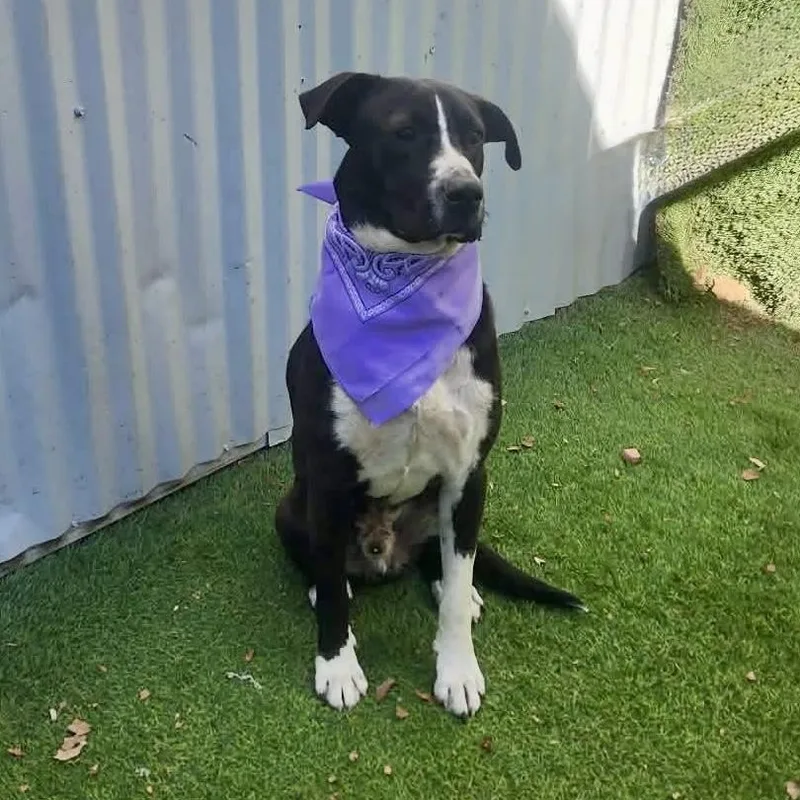 Irvington thumbnail 5