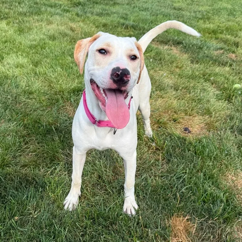 Vivienne thumbnail 4