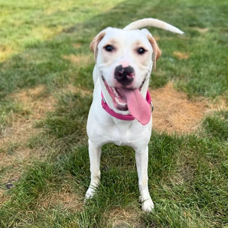 Vivienne thumbnail 6