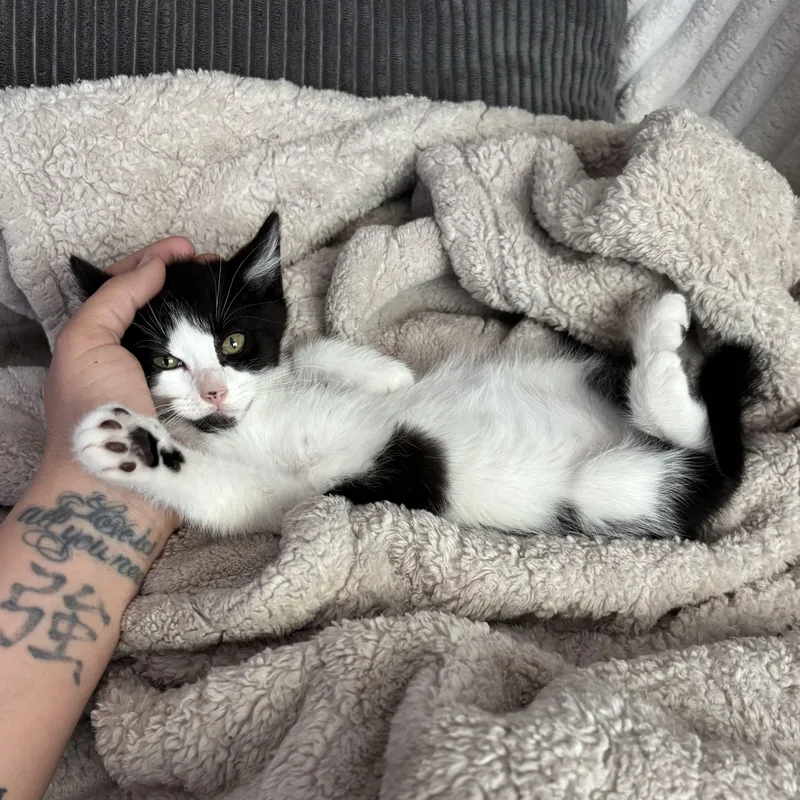 Missy thumbnail 5