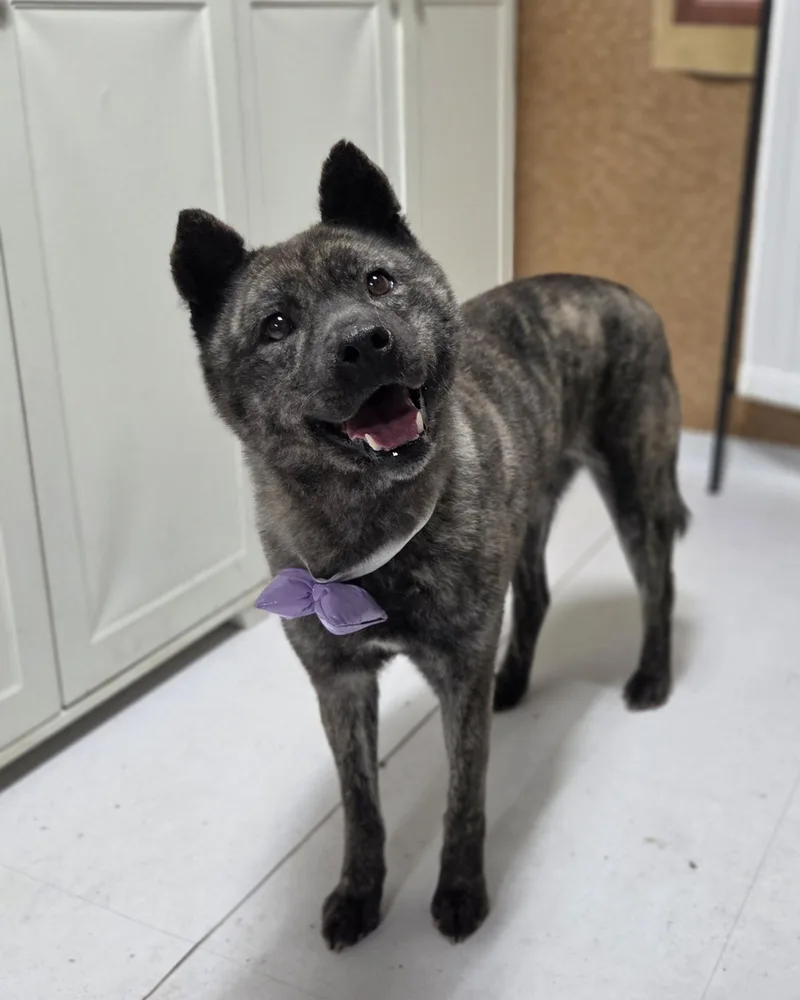 Changhee thumbnail 2