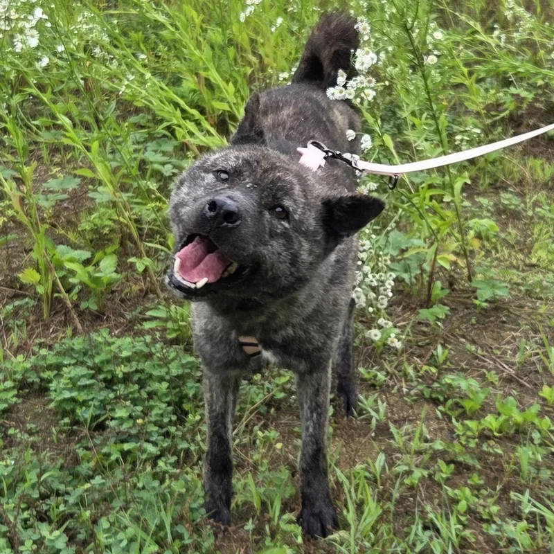 Changhee thumbnail 3