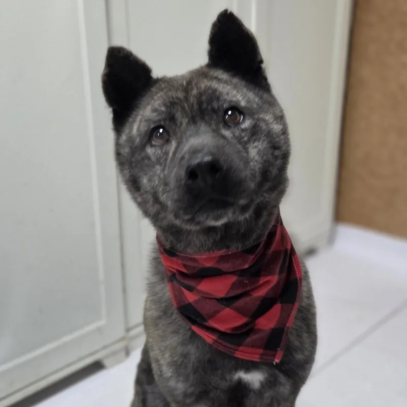 Changhee thumbnail 5