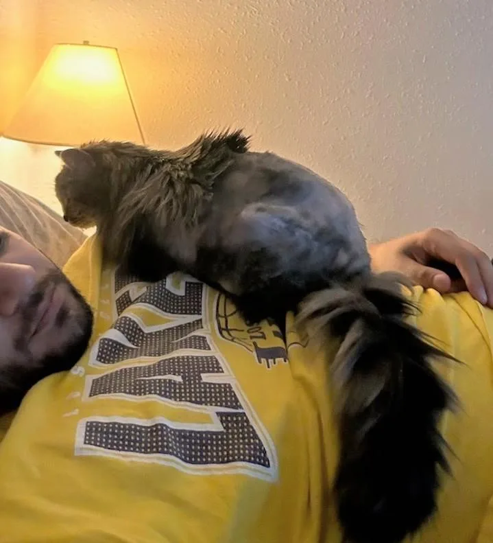 Bella thumbnail 6