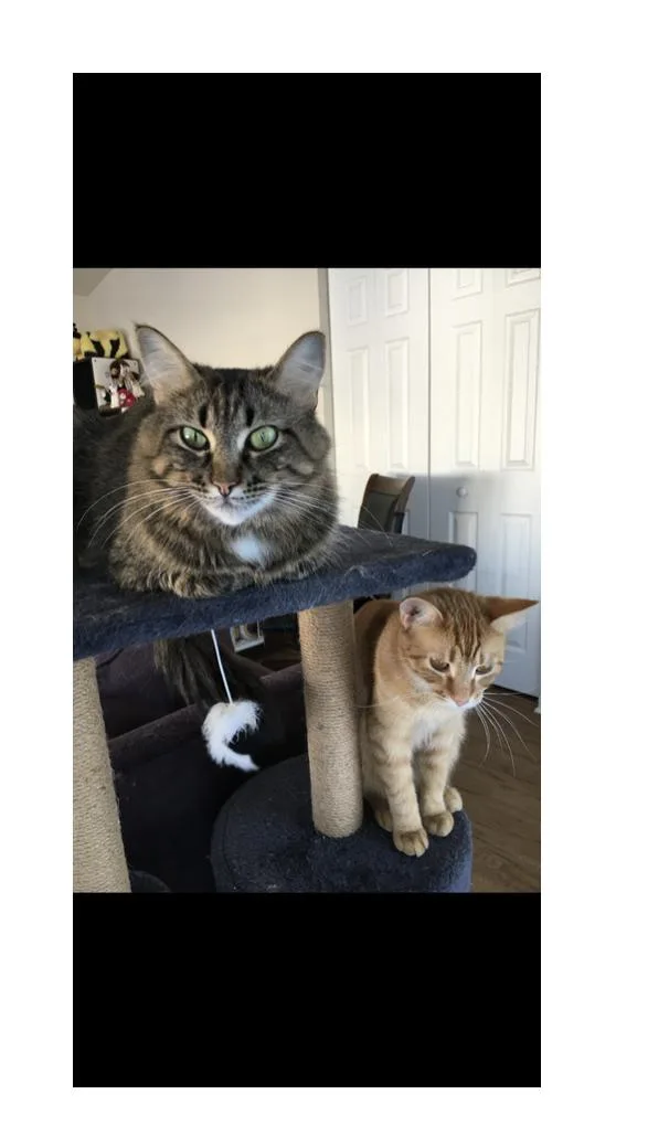 Ruby And Maggie thumbnail 2