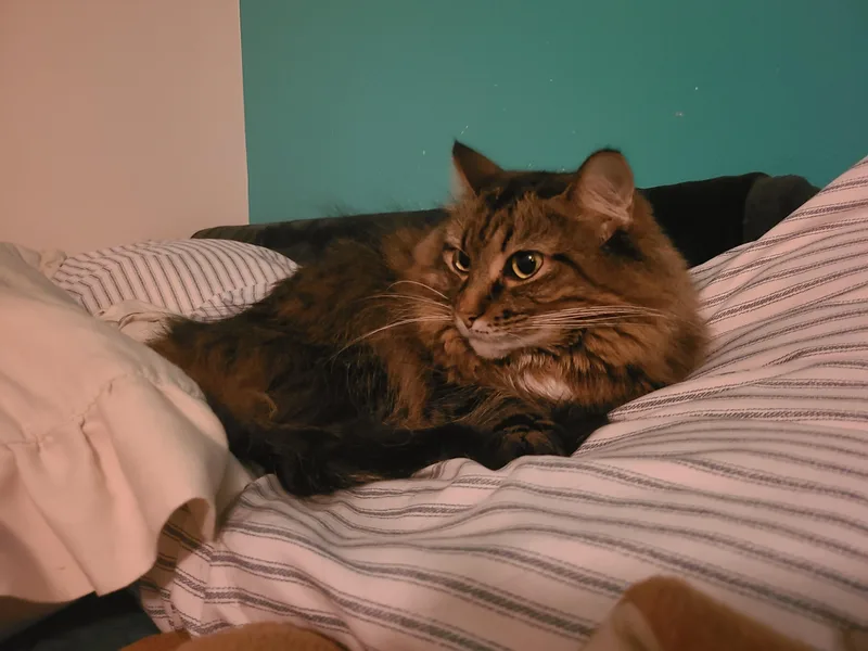 Ruby And Maggie thumbnail 3