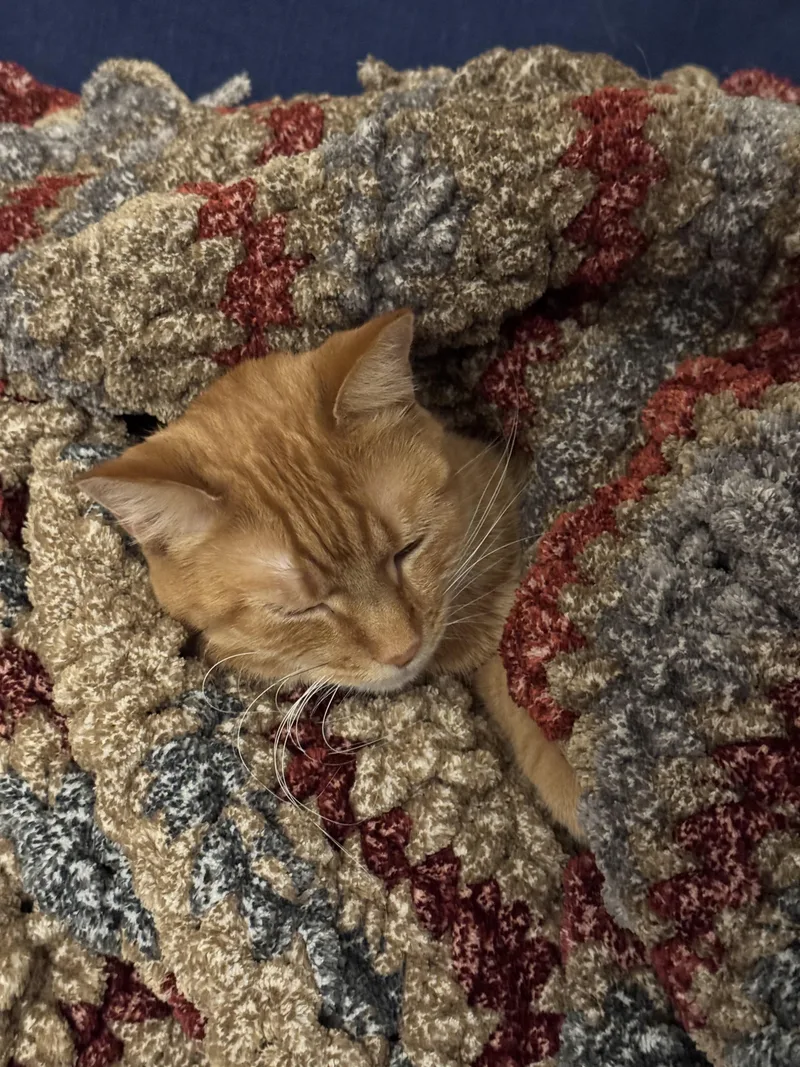 Ruby And Maggie thumbnail 4