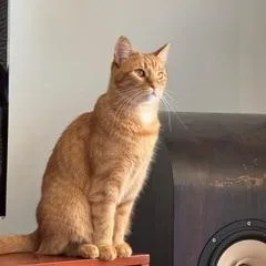 Ruby And Maggie thumbnail 5