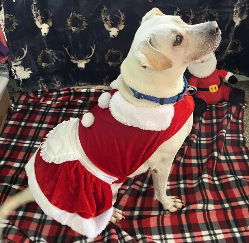 Trinette thumbnail 2