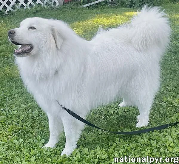 Casper In Ct  thumbnail 2