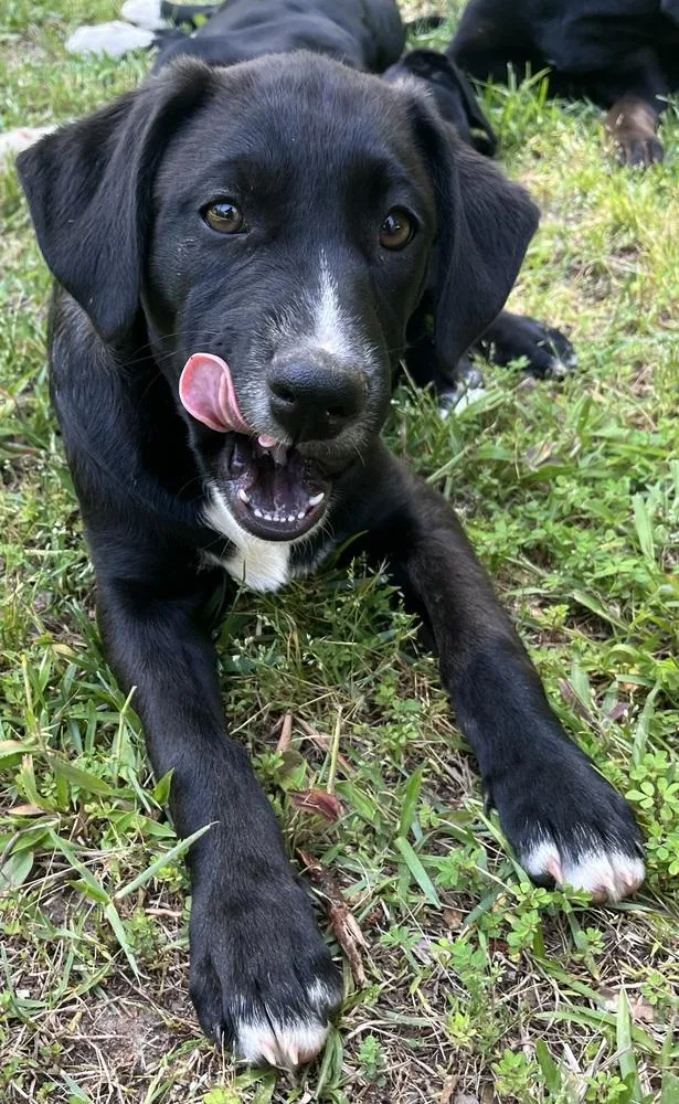 Magnificent “maggie”. Magnificent